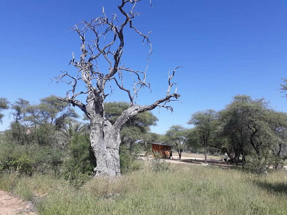 Hotel Camp Mara Omaruru Exterior foto